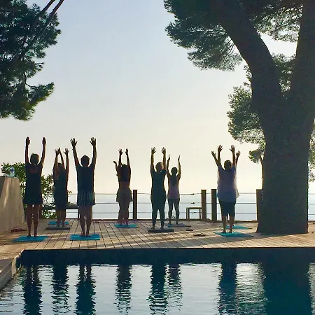 Cassis *